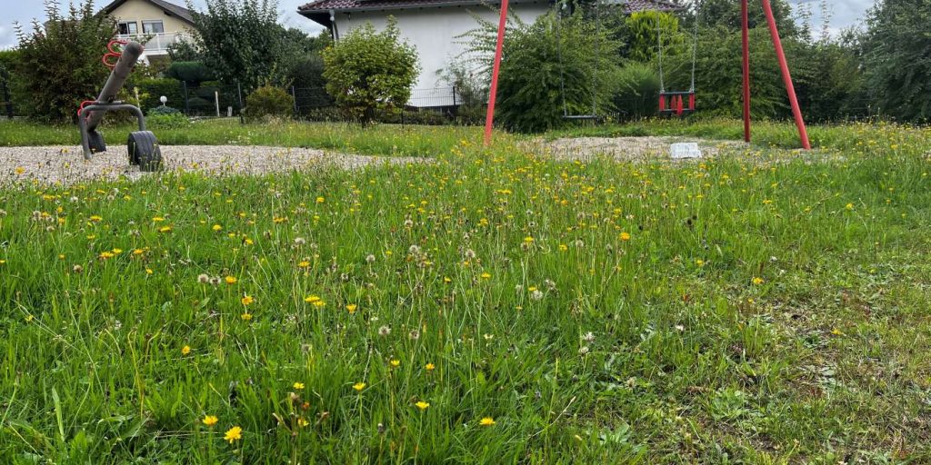 Zu sehen ist ein Spielplatz aus Niederzeuzheim. Das Gras steht hoch und der Platz sieht verlassen und trostlos aus.